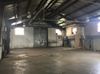 1601 Ridgely Street photo